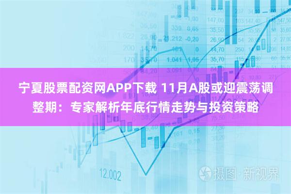 宁夏股票配资网APP下载 11月A股或迎震荡调整期：专家解析年底行情走势与投资策略