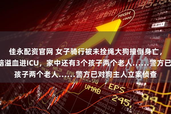 佳永配资官网 女子骑行被未拴绳大狗撞倒身亡，5个月后丈夫突发脑溢血进ICU，家中还有3个孩子两个老人……警方已对狗主人立案侦查
