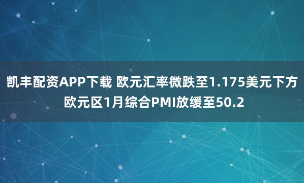 凯丰配资APP下载 欧元汇率微跌至1.175美元下方 欧元区1月综合PMI放缓至50.2
