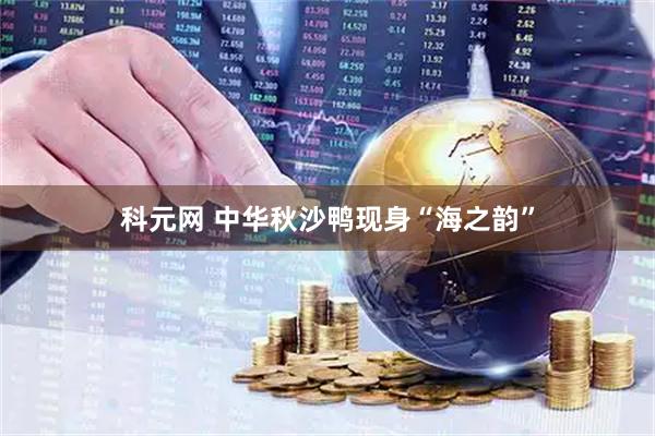 科元网 中华秋沙鸭现身“海之韵”