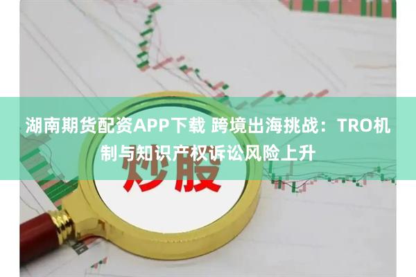 湖南期货配资APP下载 跨境出海挑战：TRO机制与知识产权诉讼风险上升